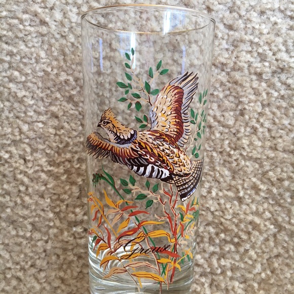 RARE! Vintage (Set of 8) Wild Fowl Glasses - Picture 6 of 9